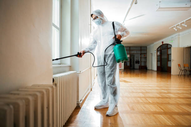Best Pest Removal Services  in Kalona, IA