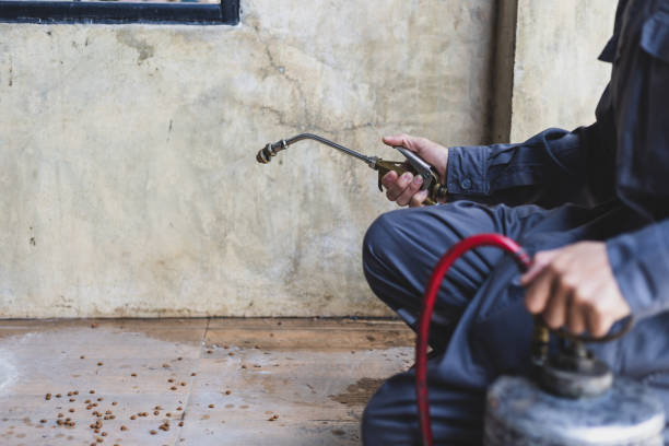 Best Commercial Pest Control Services  in Kalona, IA