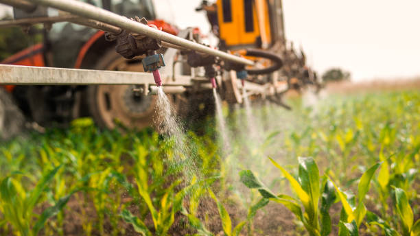 Best Pest Prevention Services  in Kalona, IA